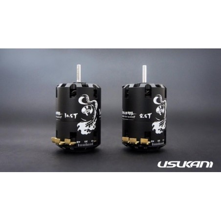 OmG 120A ESC + Usukani 10.5T motor combo set (Black version)