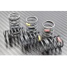 ReveD R-tune PC Rear Spring, Medium (2pcs)
