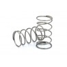 ReveD HT Rear Spring, Medium Soft (2pcs)